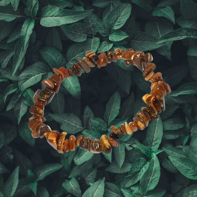 Tiger's eye crystal for the Leo new moon to help you step into your authentic self